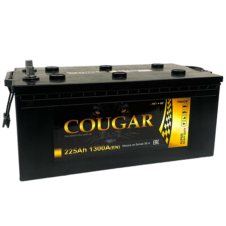 Аккумулятор COUGAR Power 225 Ач п.п. L+