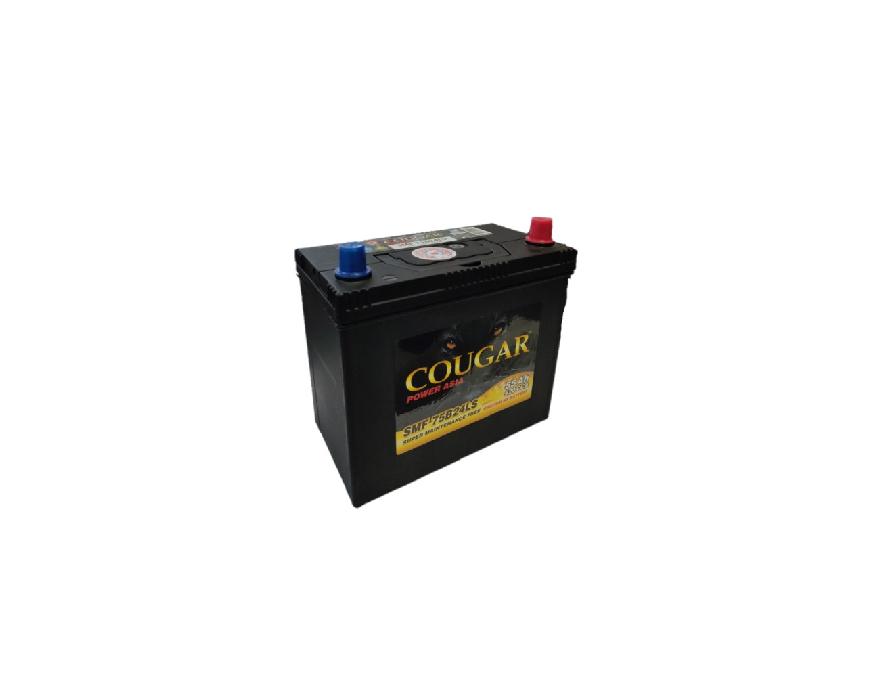 Аккумулятор COUGAR Asia 55 Ач п.п. L+ (SMF 75B24RS)