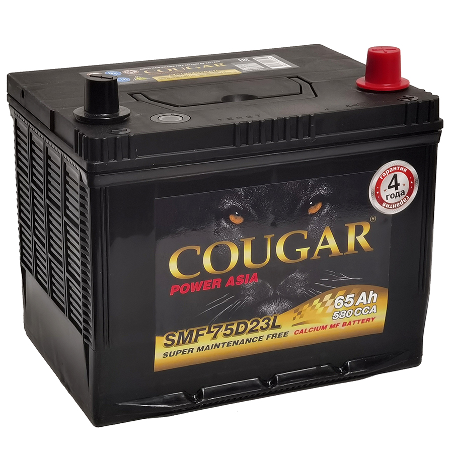 Аккумулятор COUGAR Asia 65 Ач о.п. R+ (SMF 75D23L)